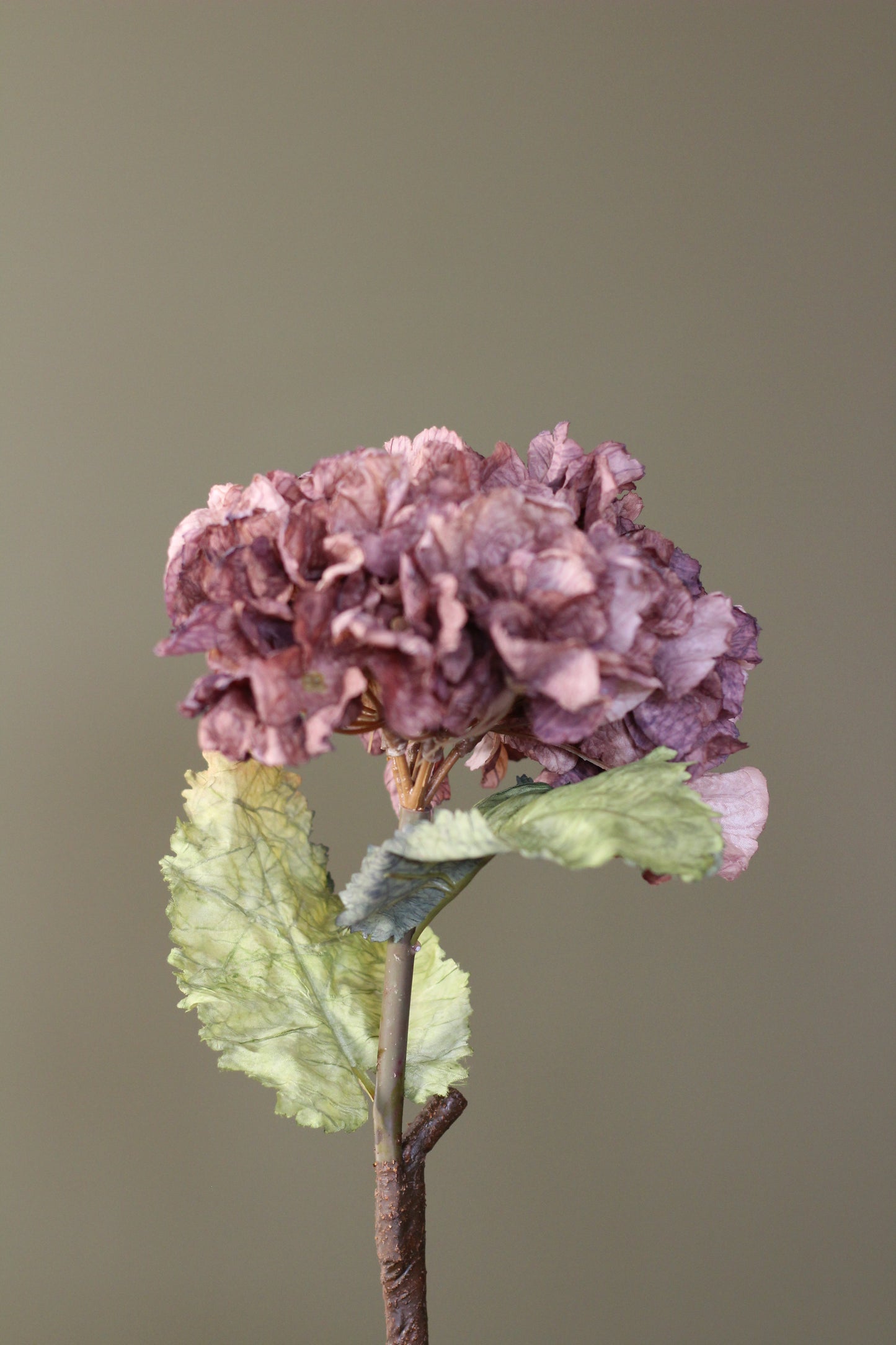 Rustic Hydrangea Stem – Mocha