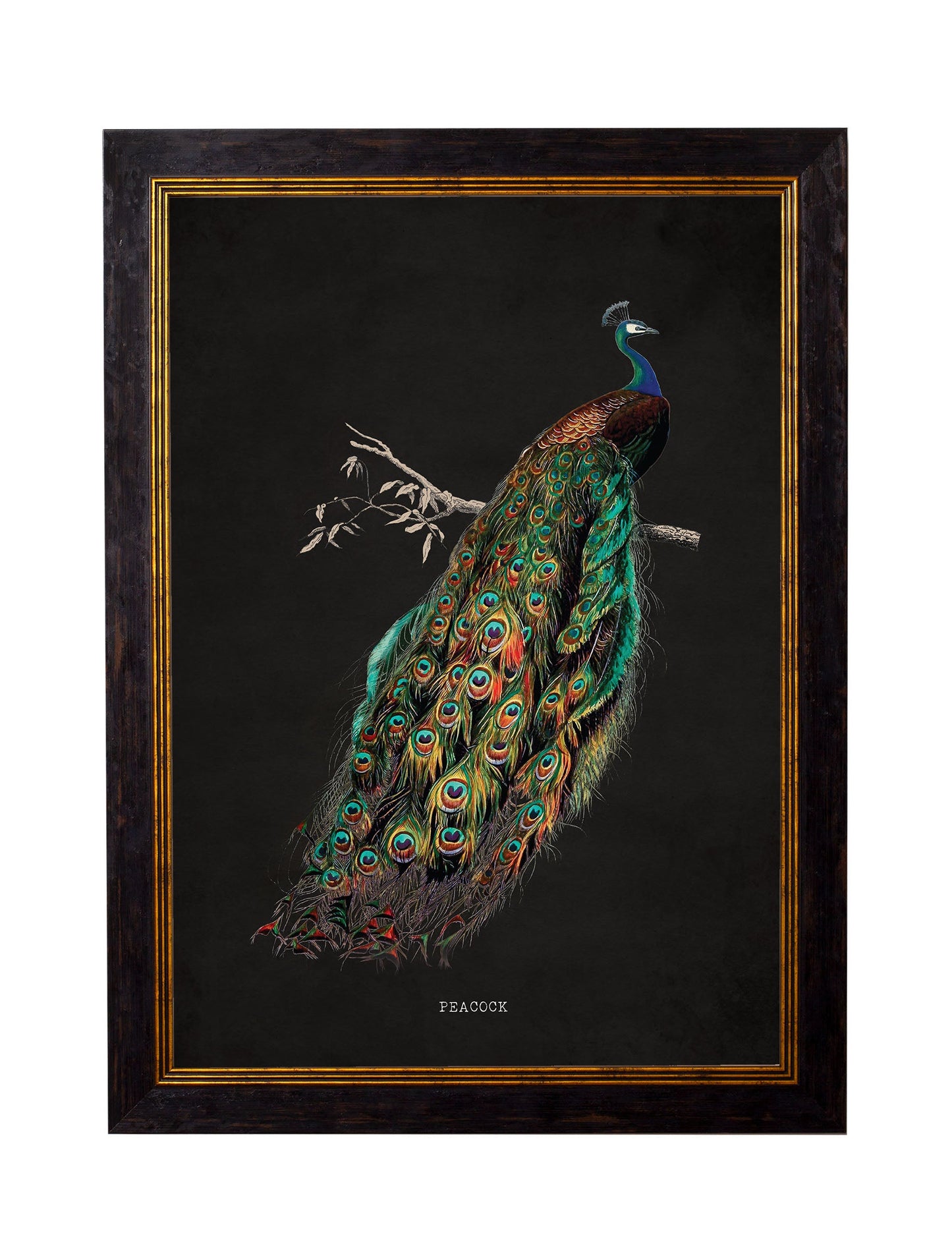c.1847 Peacocks – Dark styled view – Leya Buster Interiors