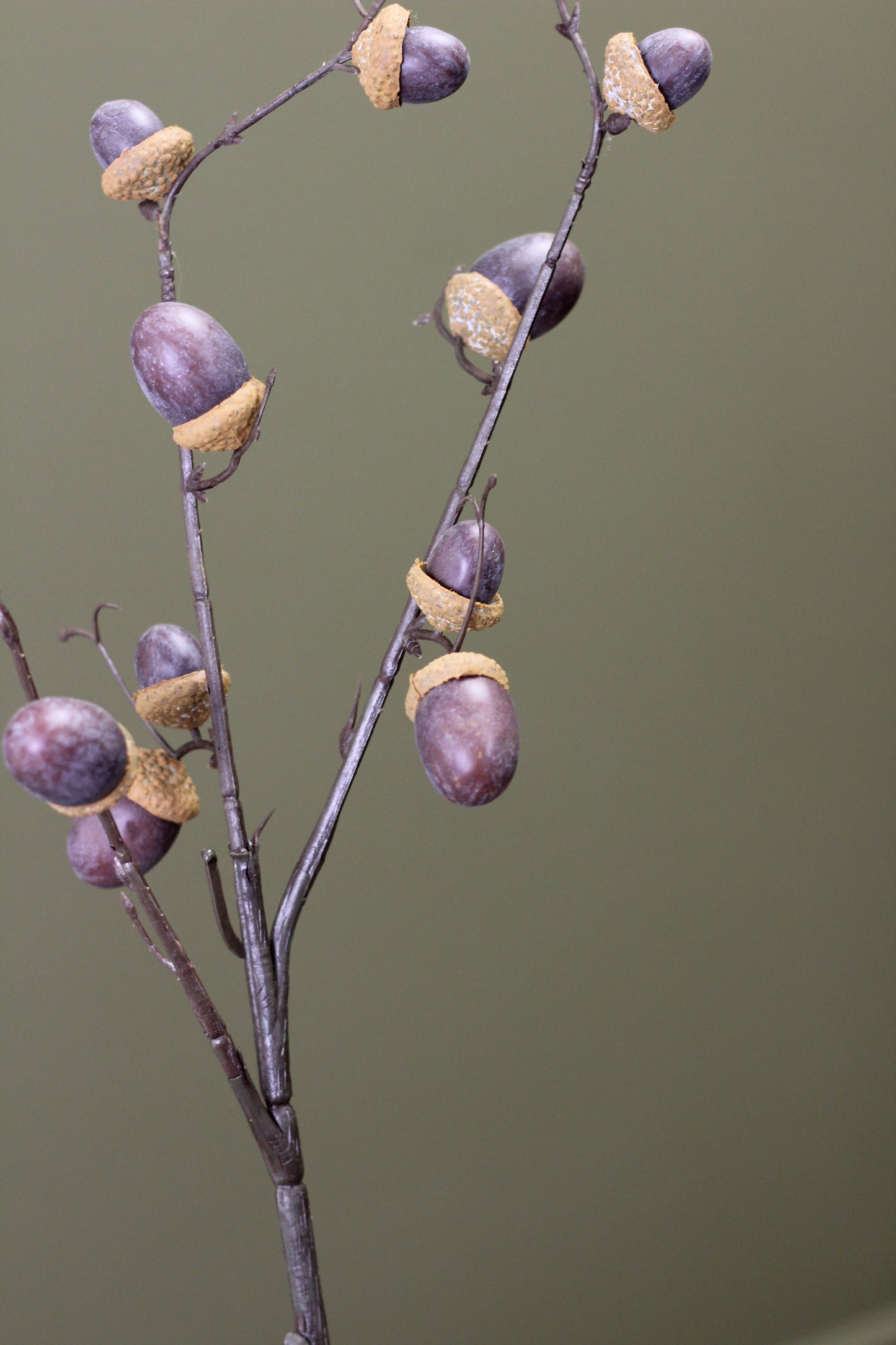 Woodland Acorn Branch – Brown