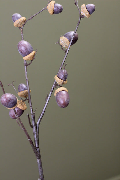 Woodland Acorn Branch – Brown