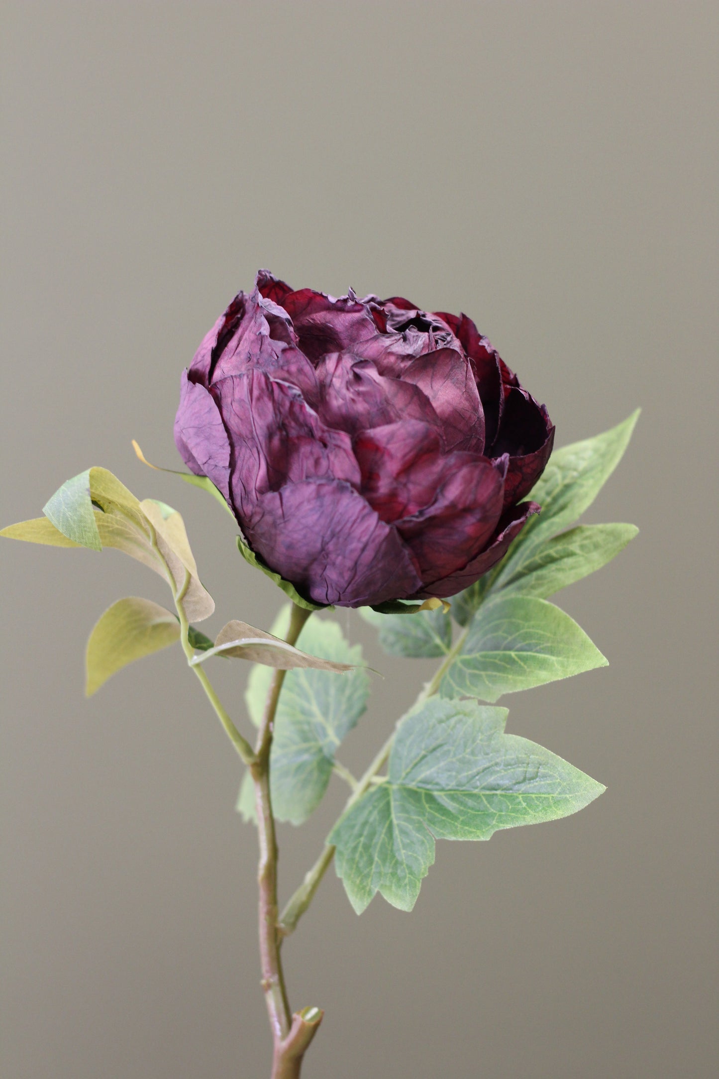 Vintage Peony Bud Stem – Aubergine