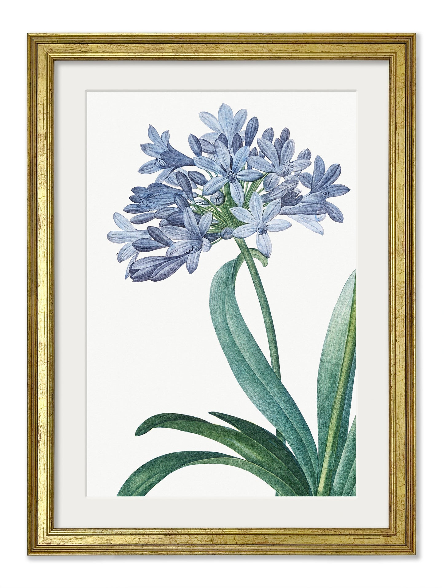 Blue Floral Illustrations Set of 4 Prints styled view – Leya Buster Interiors