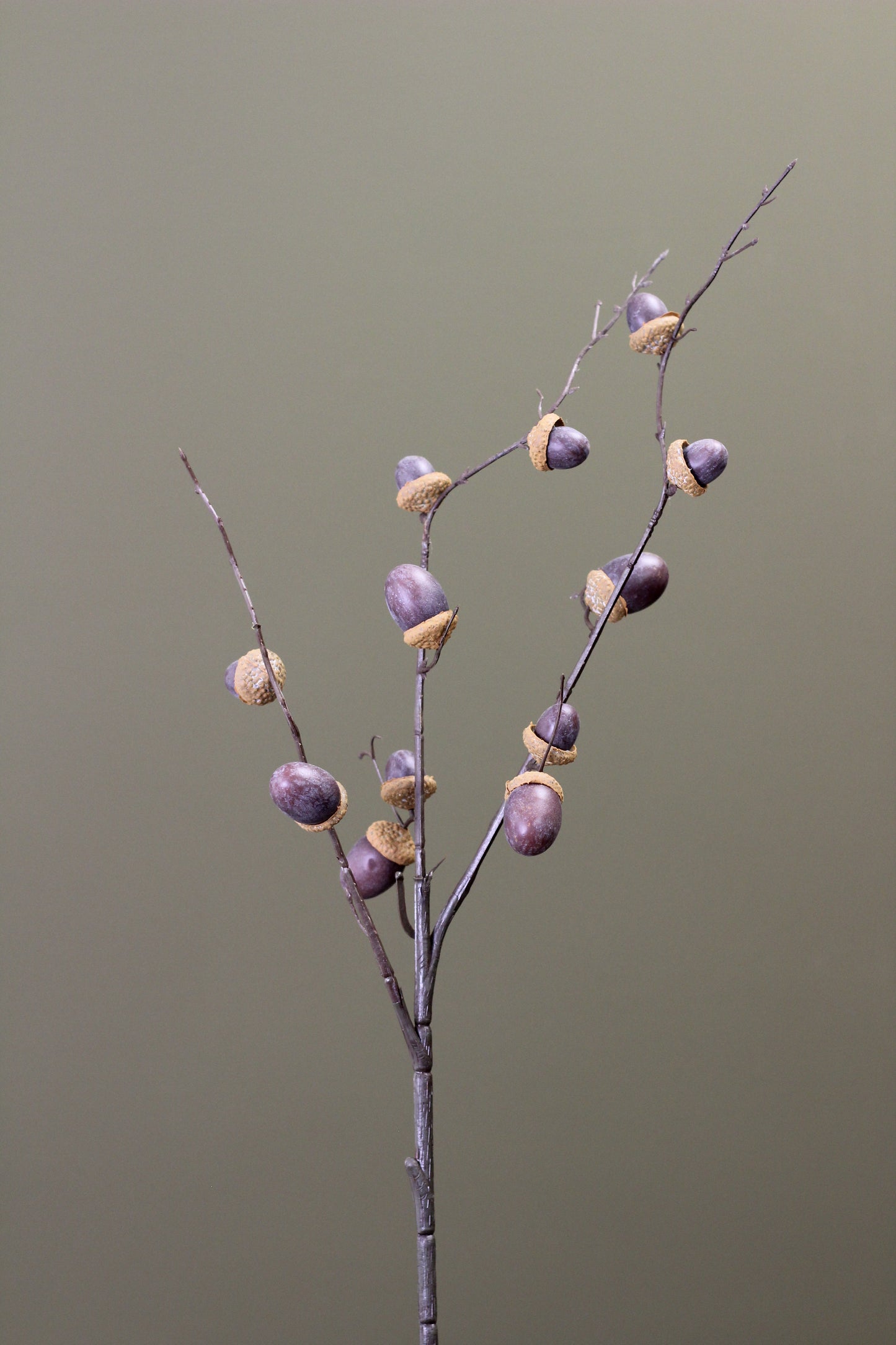Woodland Acorn Branch – Brown