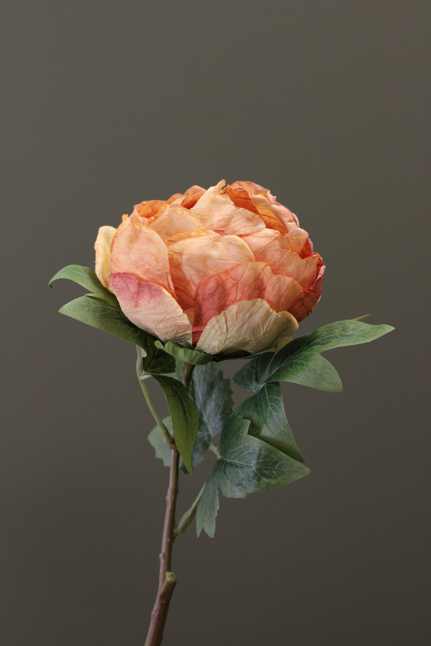 Vintage Peony Bud Stem – Burnt Orange