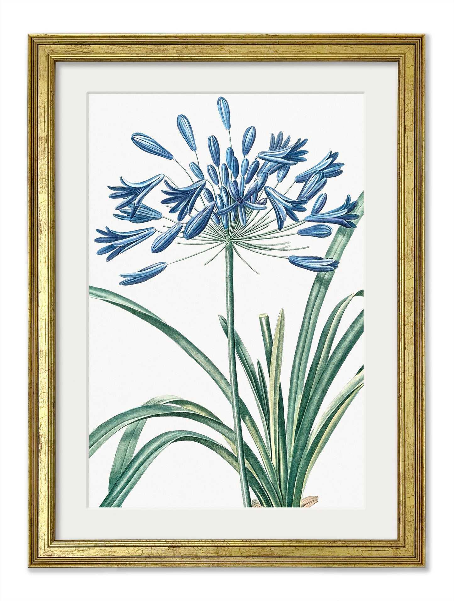 Blue Floral Illustrations Set of 4 Prints styled view – Leya Buster Interiors
