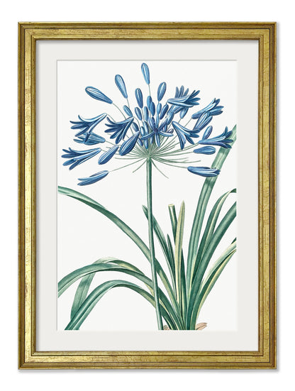 Blue Floral Illustrations Set of 4 Prints styled view – Leya Buster Interiors
