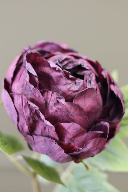 Vintage Peony Bud Stem – Aubergine