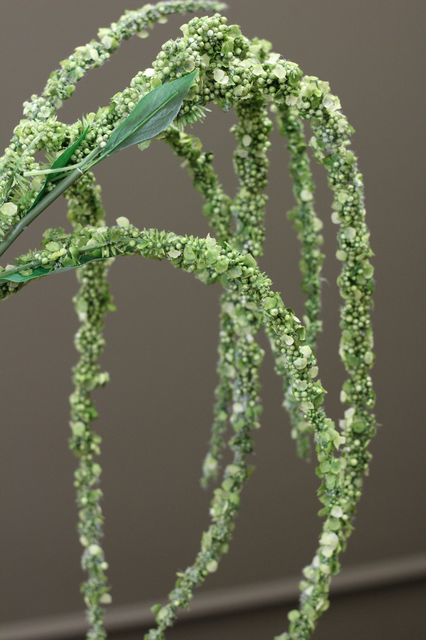 Cascading Amaranthus Stem – Olive Green