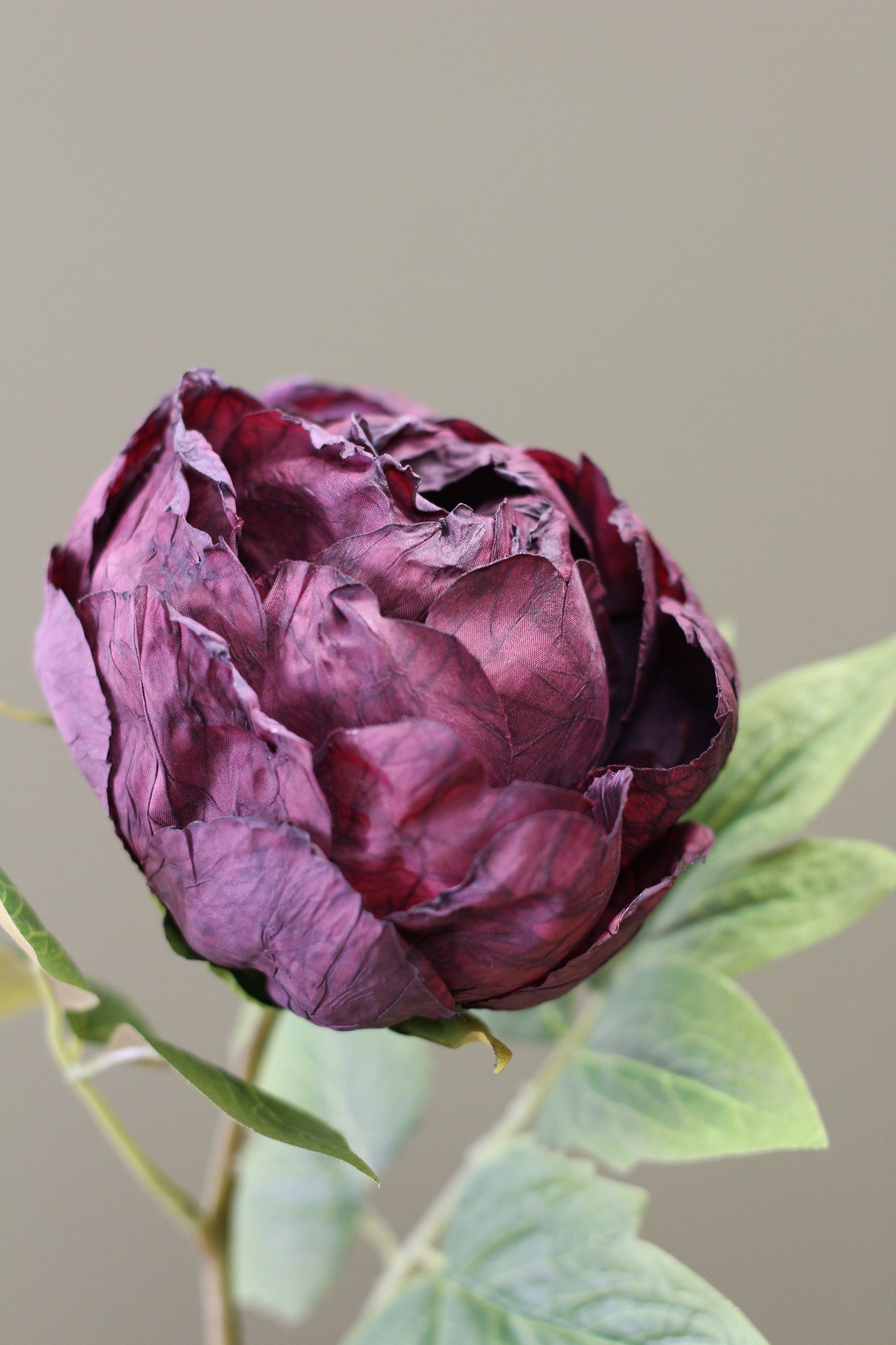 Vintage Peony Bud Stem – Aubergine