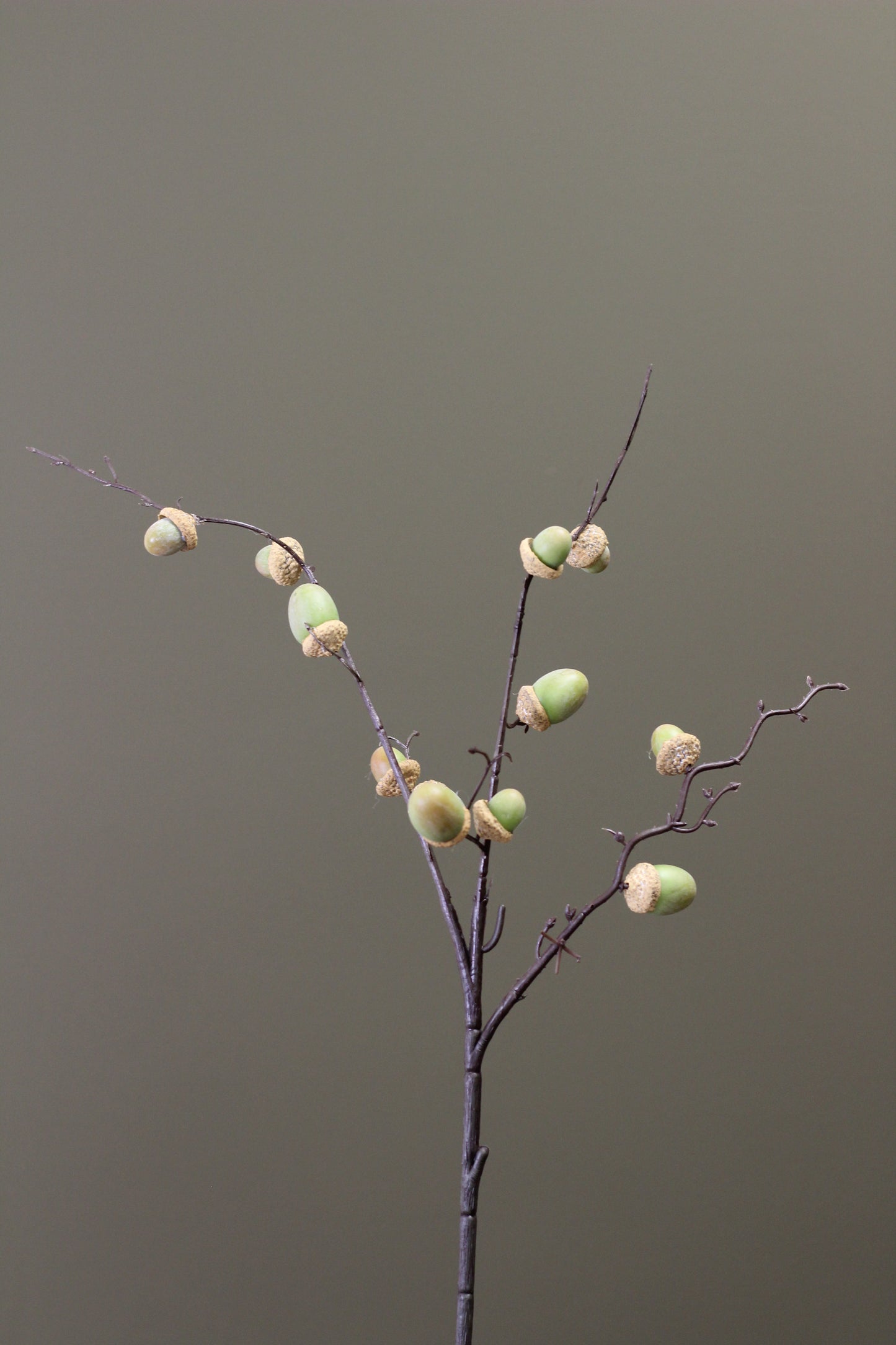 Woodland Acorn Branch – Green