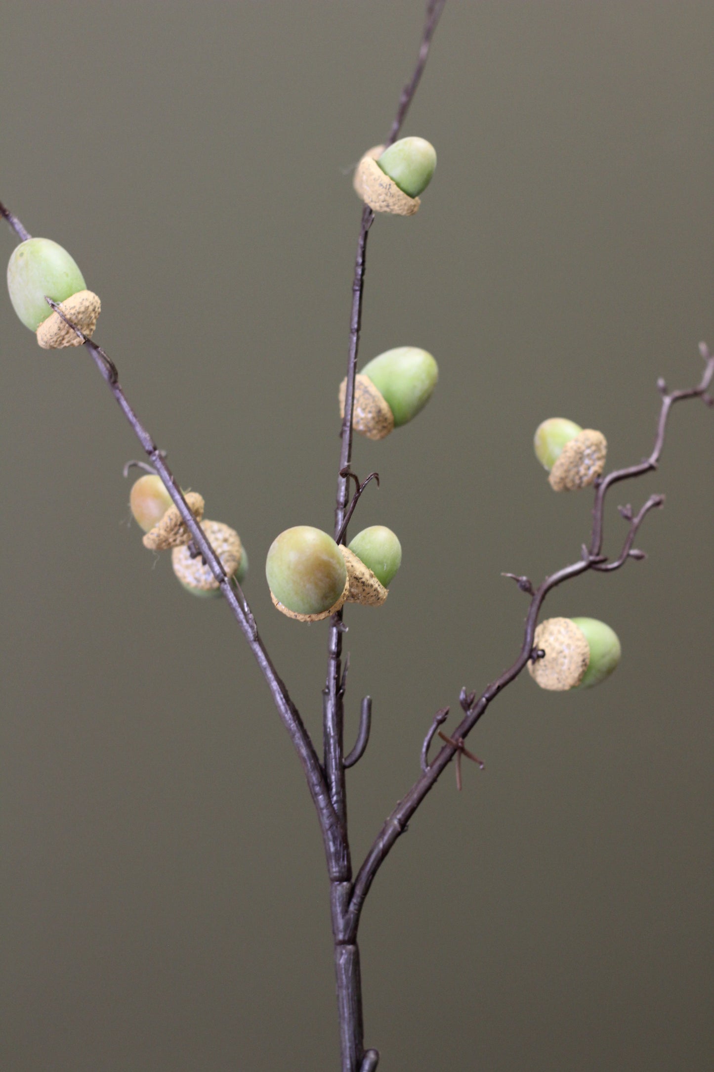 Woodland Acorn Branch – Green