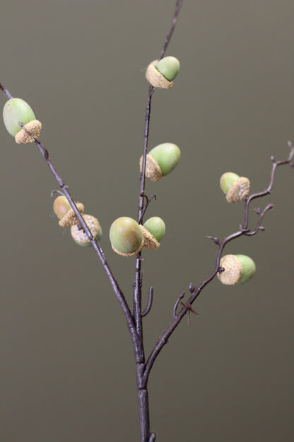 Woodland Acorn Branch – Green
