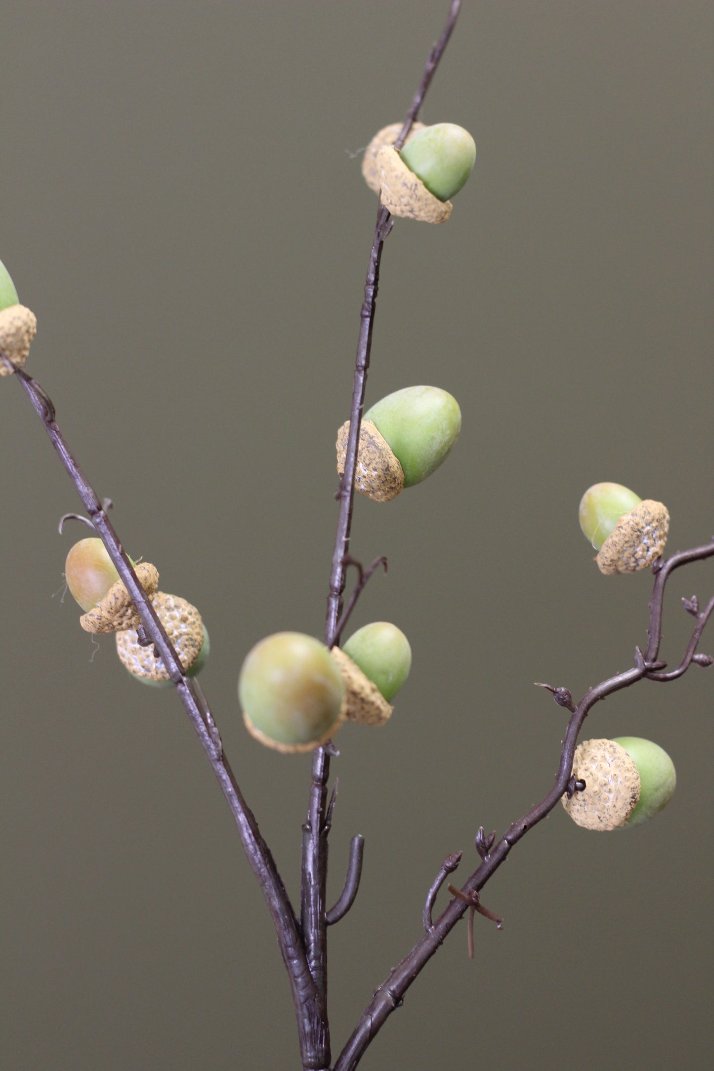 Woodland Acorn Branch – Green