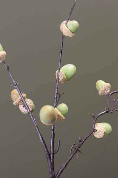 Woodland Acorn Branch – Green