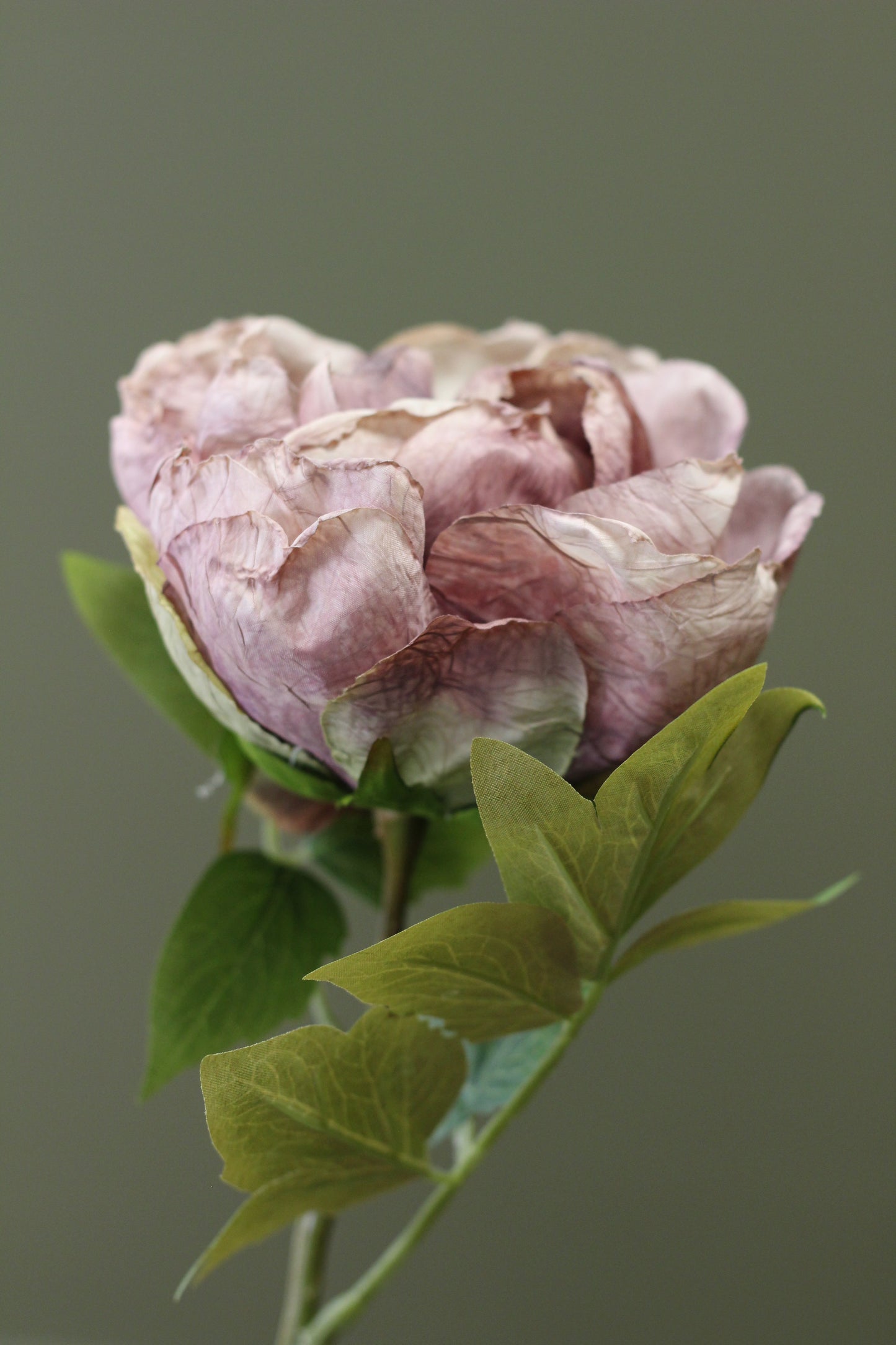 Vintage Peony Bud Stem – Dusty Mauve