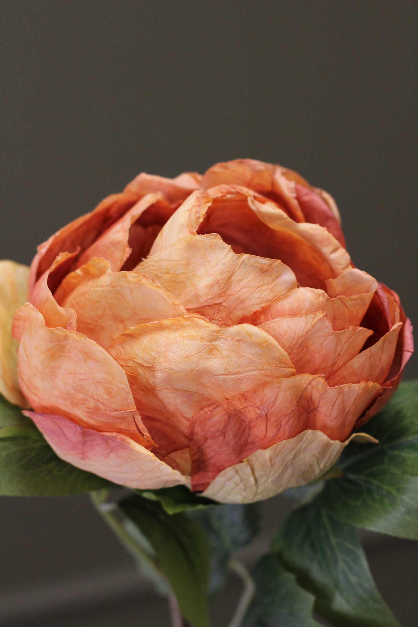 Vintage Peony Bud Stem – Burnt Orange