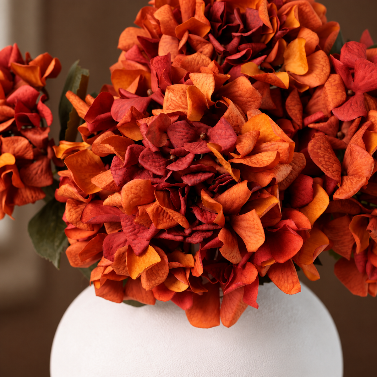 Close-up of burnt orange and russet hydrangea petals above a white vase