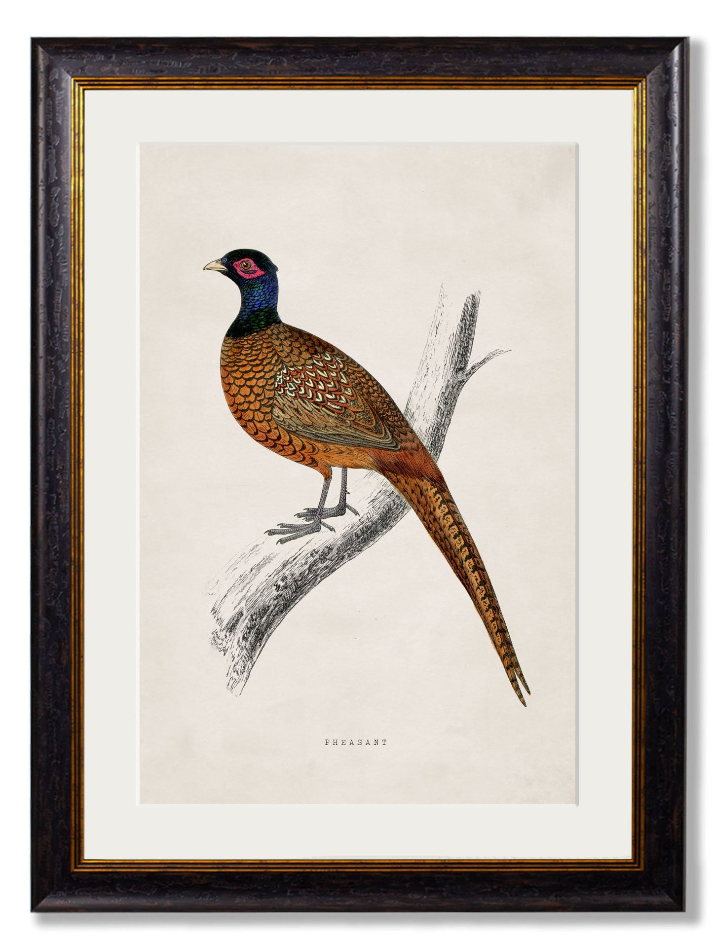 c.1850's Pheasant styled view – Leya Buster Interiors