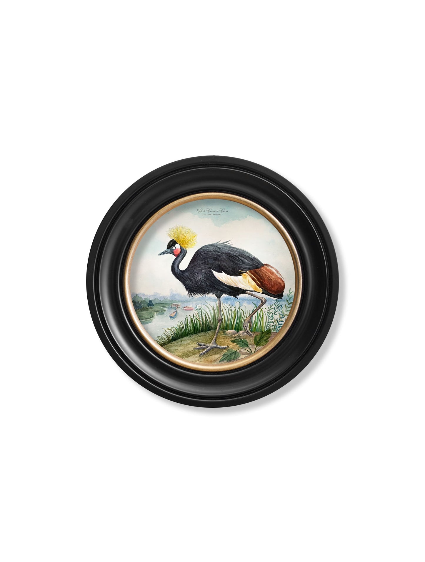 Audubon Style Cranes in Round Frames styled view – Leya Buster Interiors