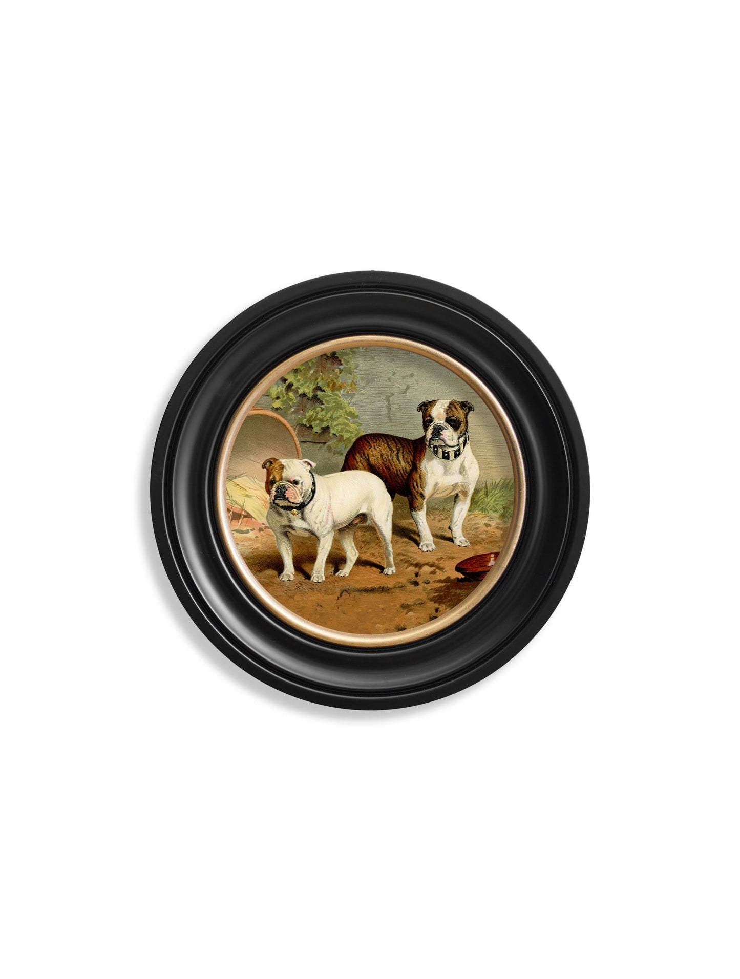 c.1881 Dogs – Round Frame styled view – Leya Buster Interiors
