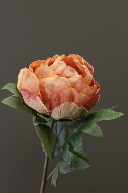 Vintage Peony Bud Stem – Burnt Orange