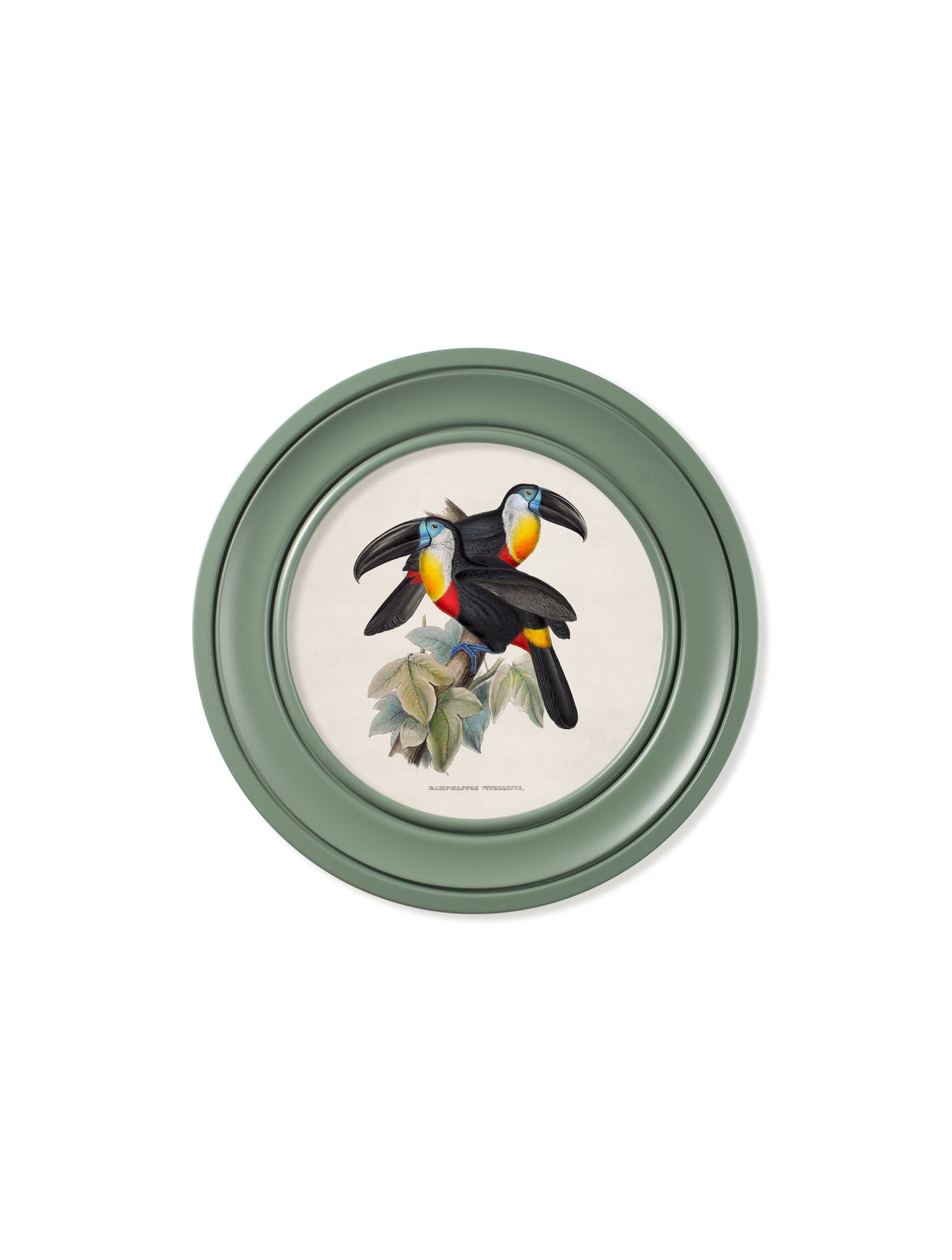 c.1848 Toucans – Round Frames Green styled view – Leya Buster Interiors