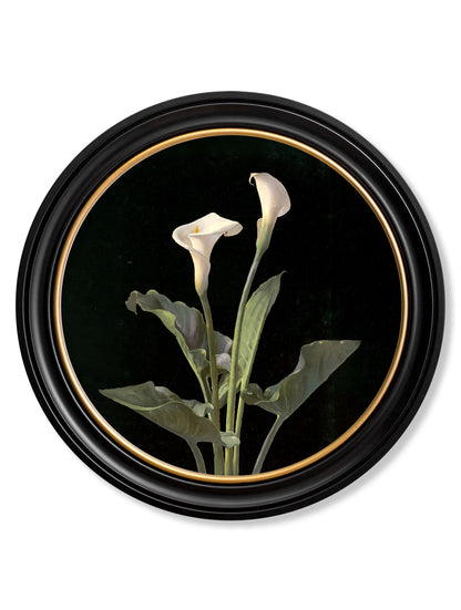 c.1874 George Cochran Lambdin Lillys – Round Frame styled view – Leya Buster Interiors