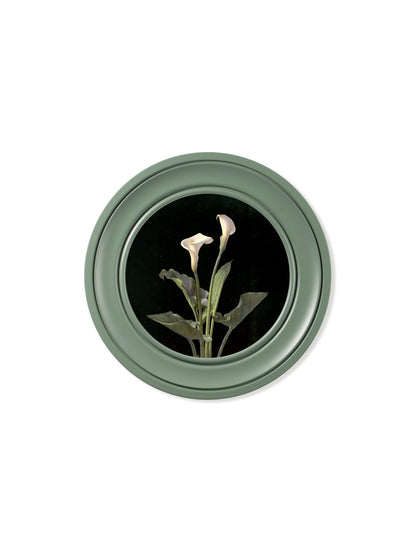 c.1874 George Cochran Lambdin Lillys – Round Frame Green styled view – Leya Buster Interiors