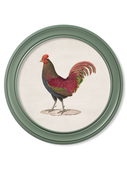 c.1838 Junglefowl in Round Frames Green styled view – Leya Buster Interiors