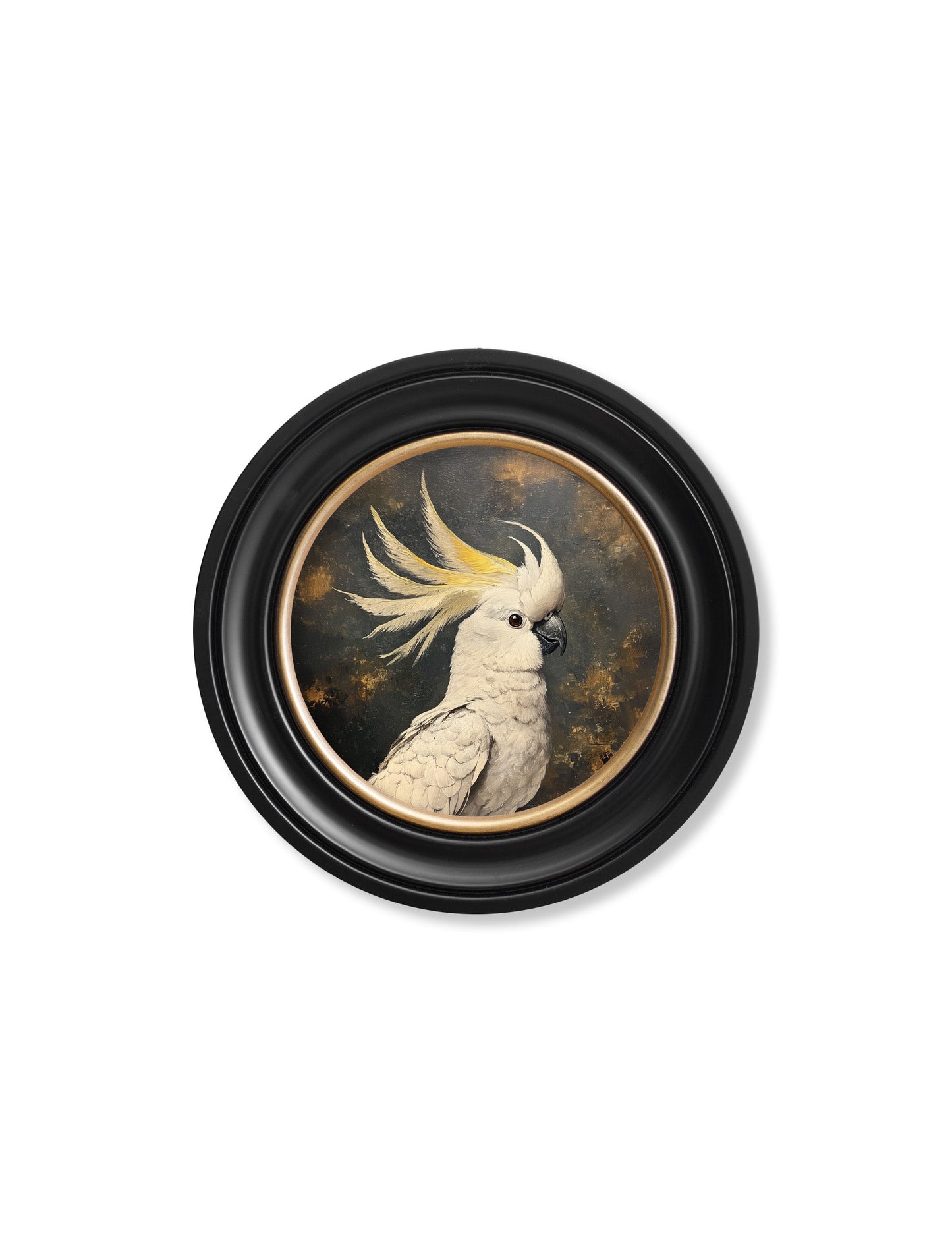 The Cockatoo Pair styled view – Leya Buster Interiors