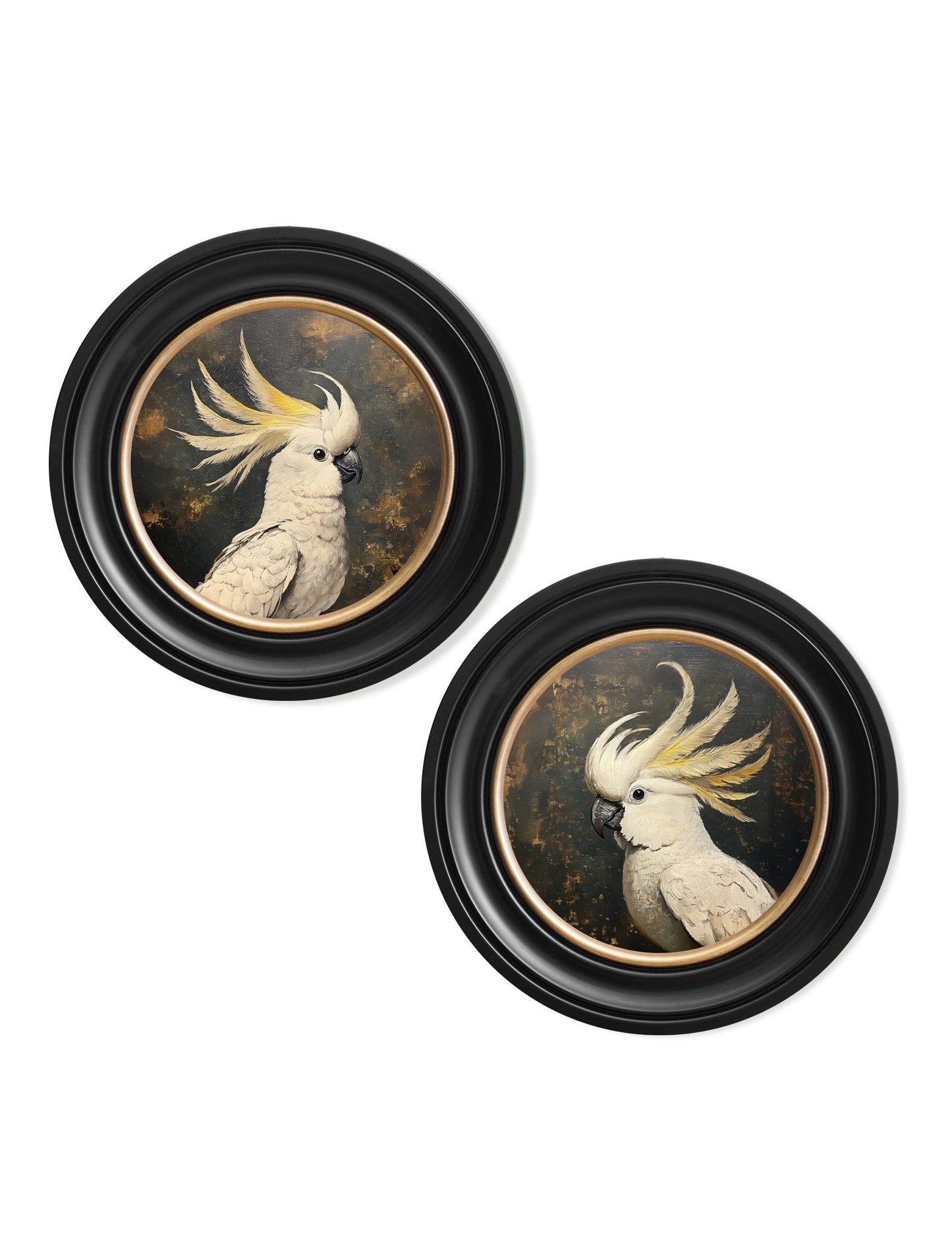 The Cockatoo Pair styled view – Leya Buster Interiors