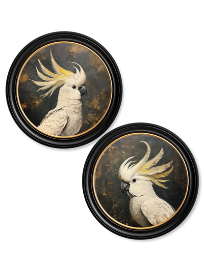 The Cockatoo Pair detail – Leya Buster Interiors