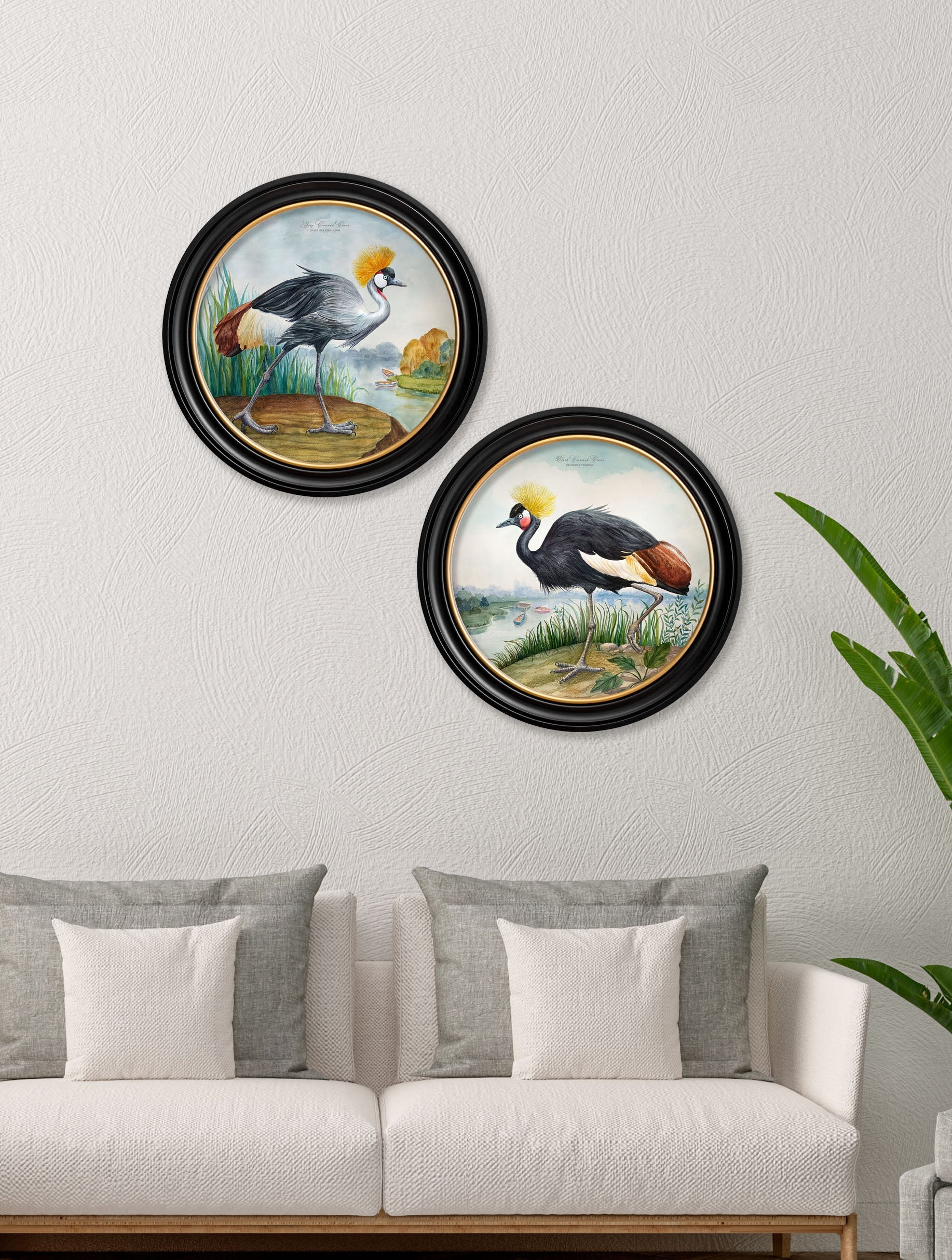 Audubon Style Cranes in Round Frames – framed wall art at Leya Buster Interiors