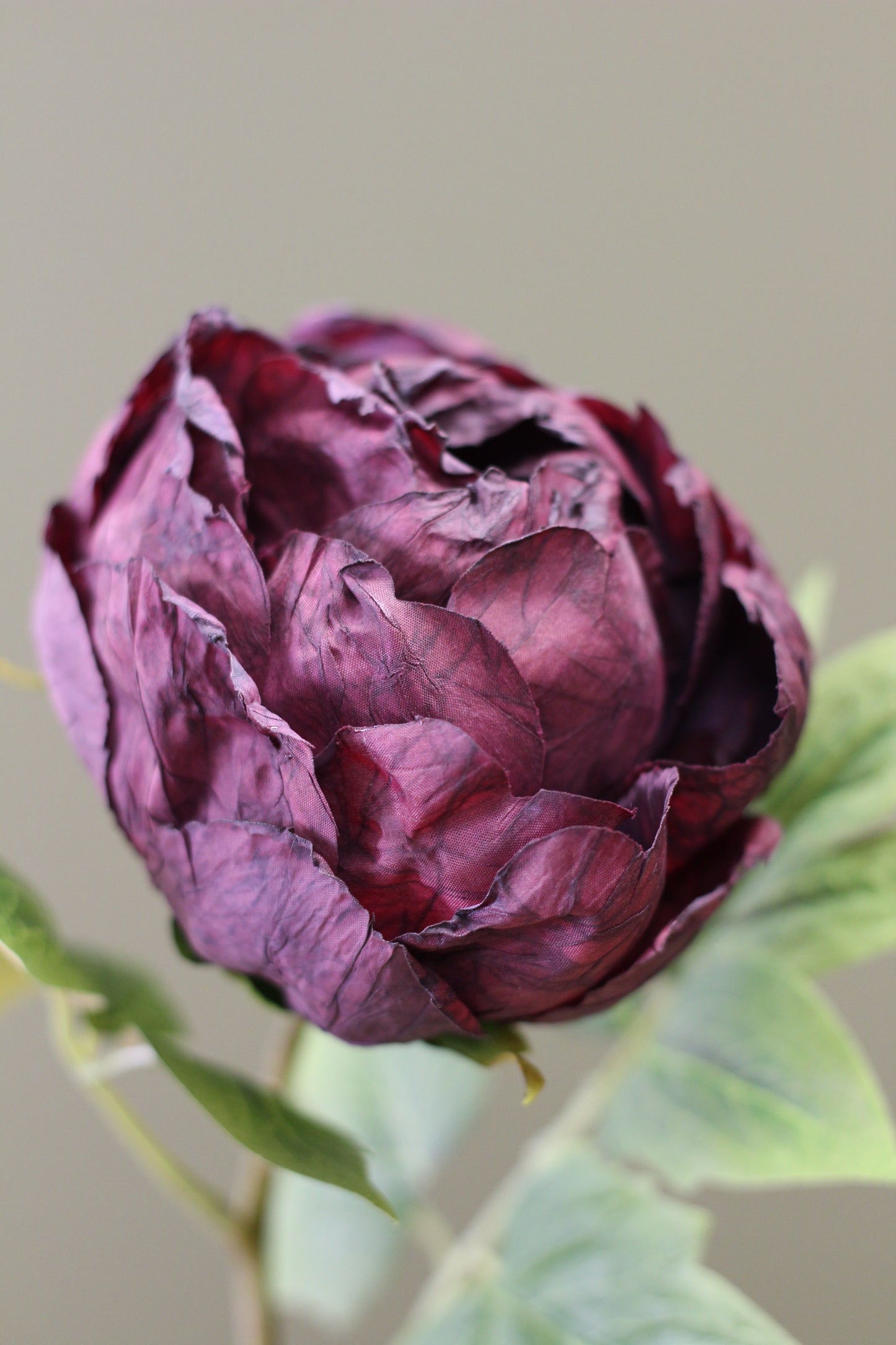 Vintage Peony Bud Stem – Aubergine