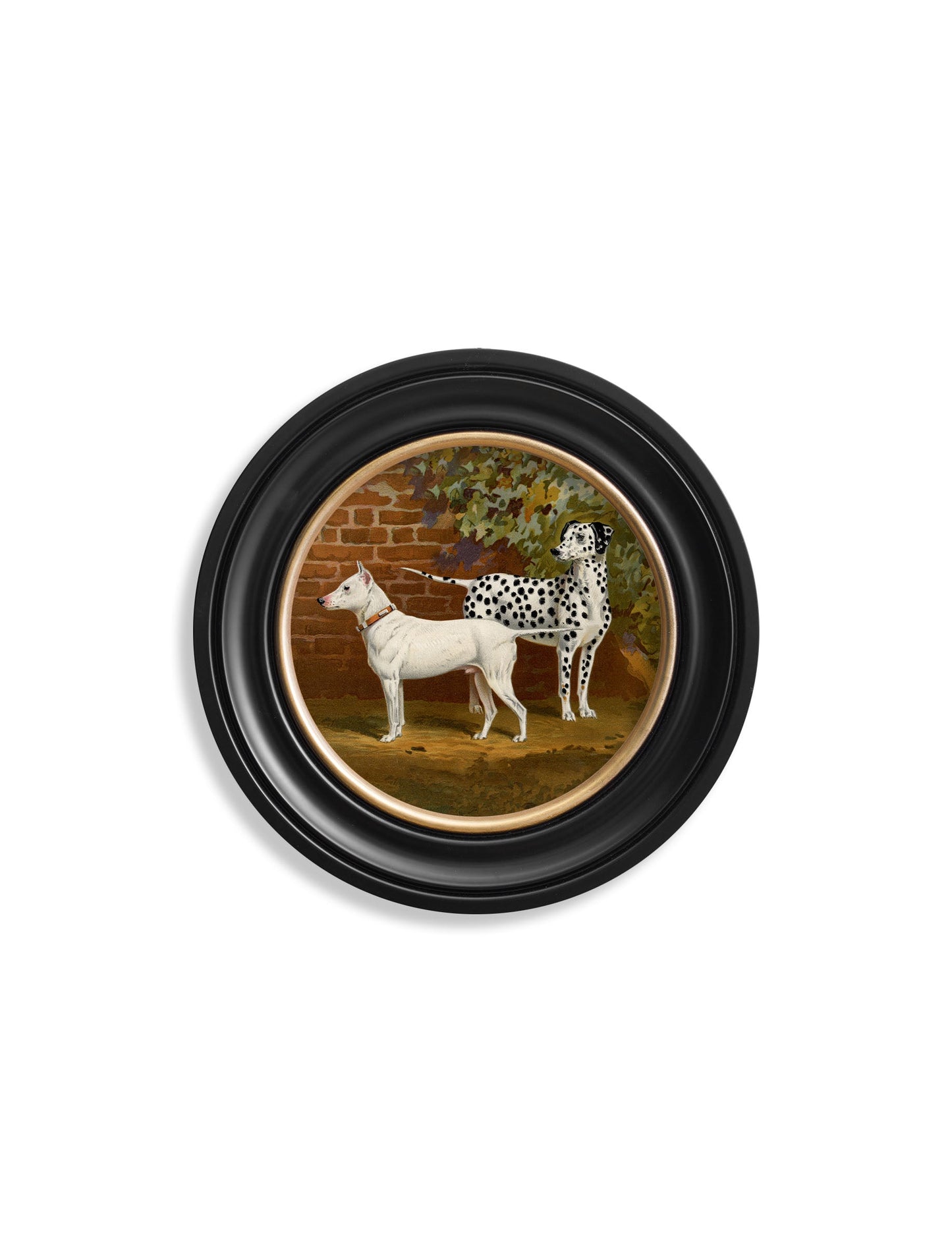 c.1881 Dogs – Round Frame styled view – Leya Buster Interiors