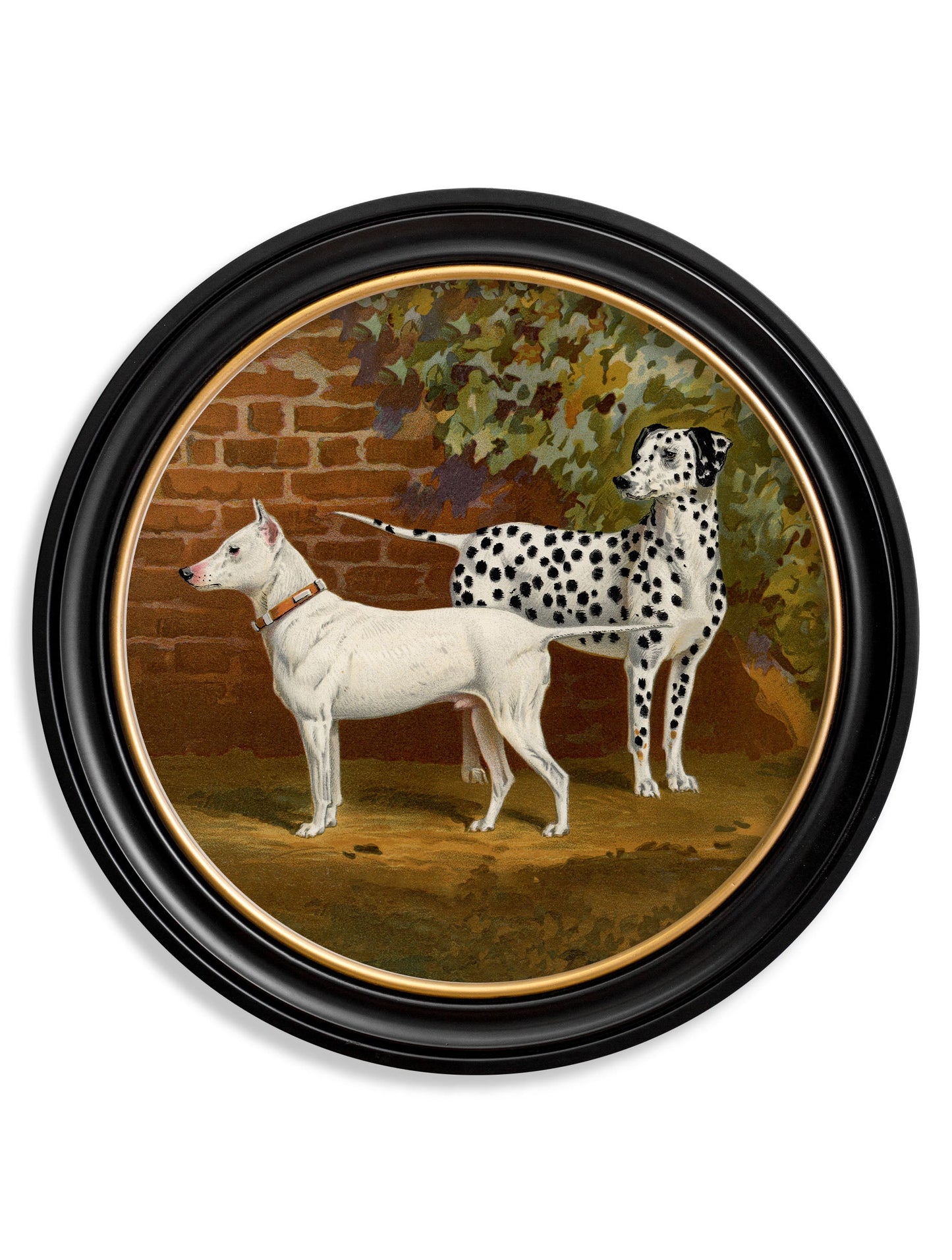 c.1881 Dogs – Round Frame styled view – Leya Buster Interiors