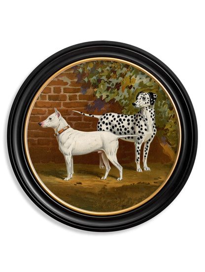 c.1881 Dogs – Round Frame styled view – Leya Buster Interiors