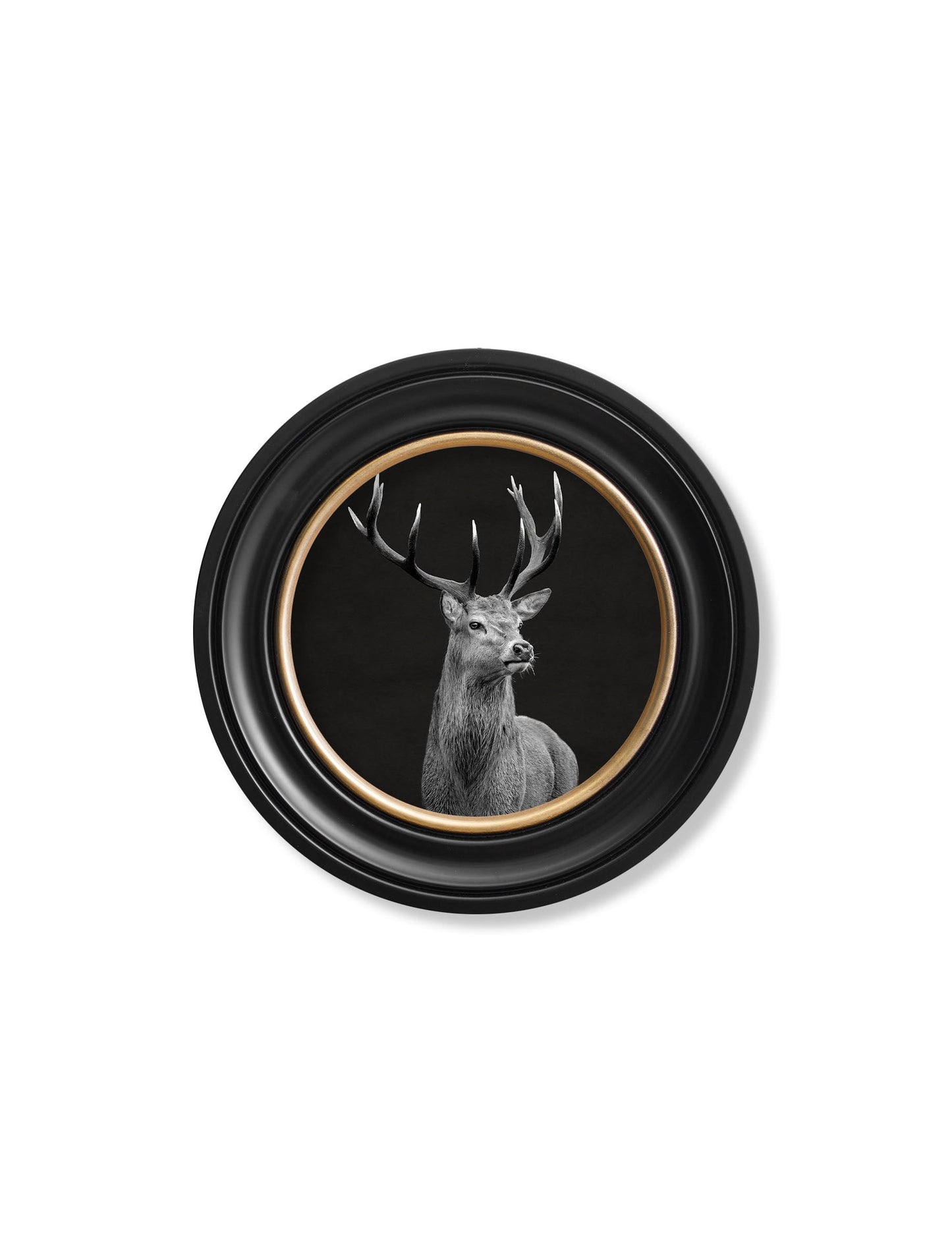 Wildlife Photography – Red Deer – Round Frame styled view – Leya Buster Interiors