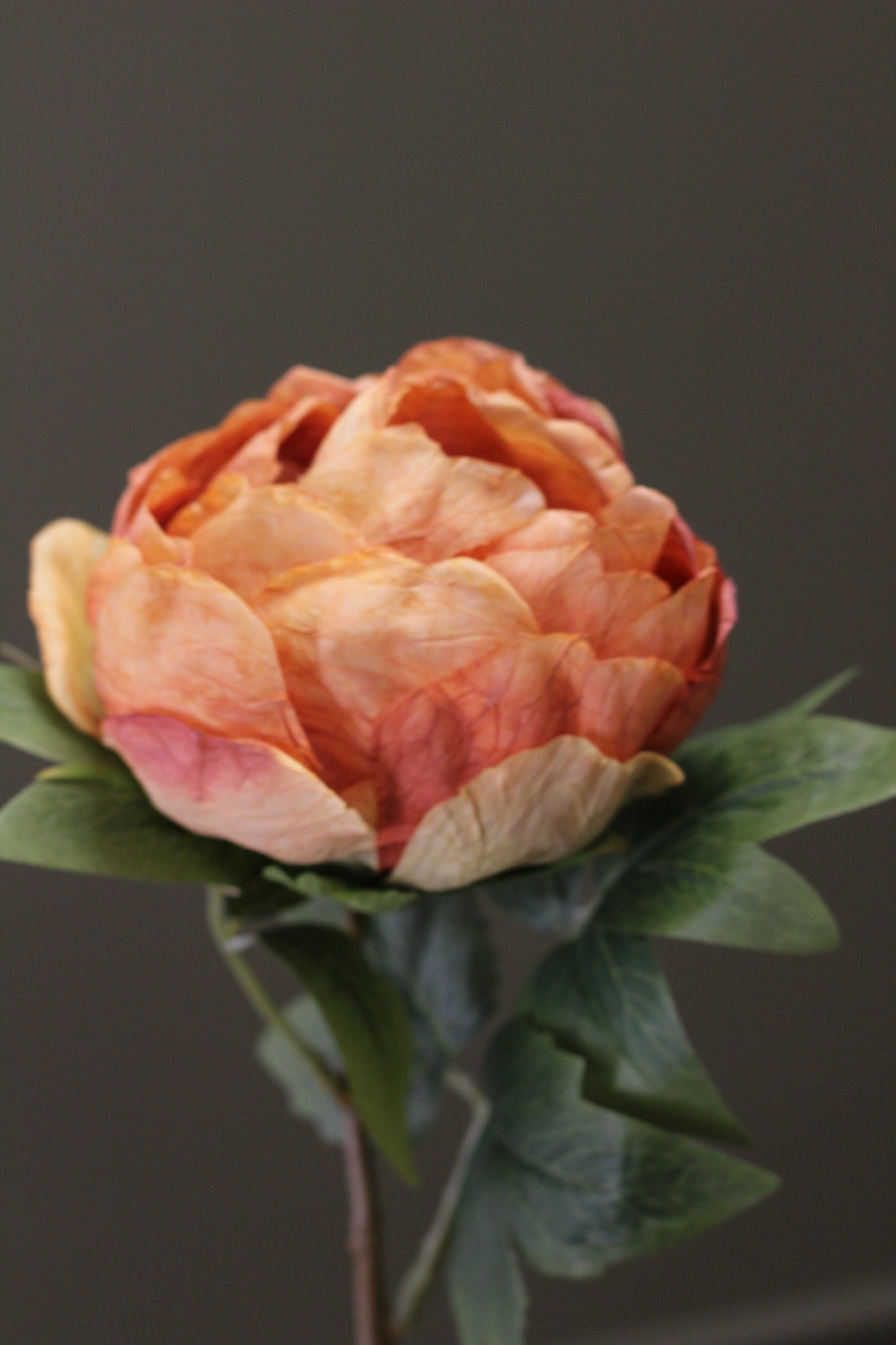 Vintage Peony Bud Stem – Burnt Orange
