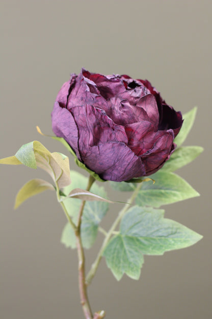 Vintage Peony Bud Stem – Aubergine