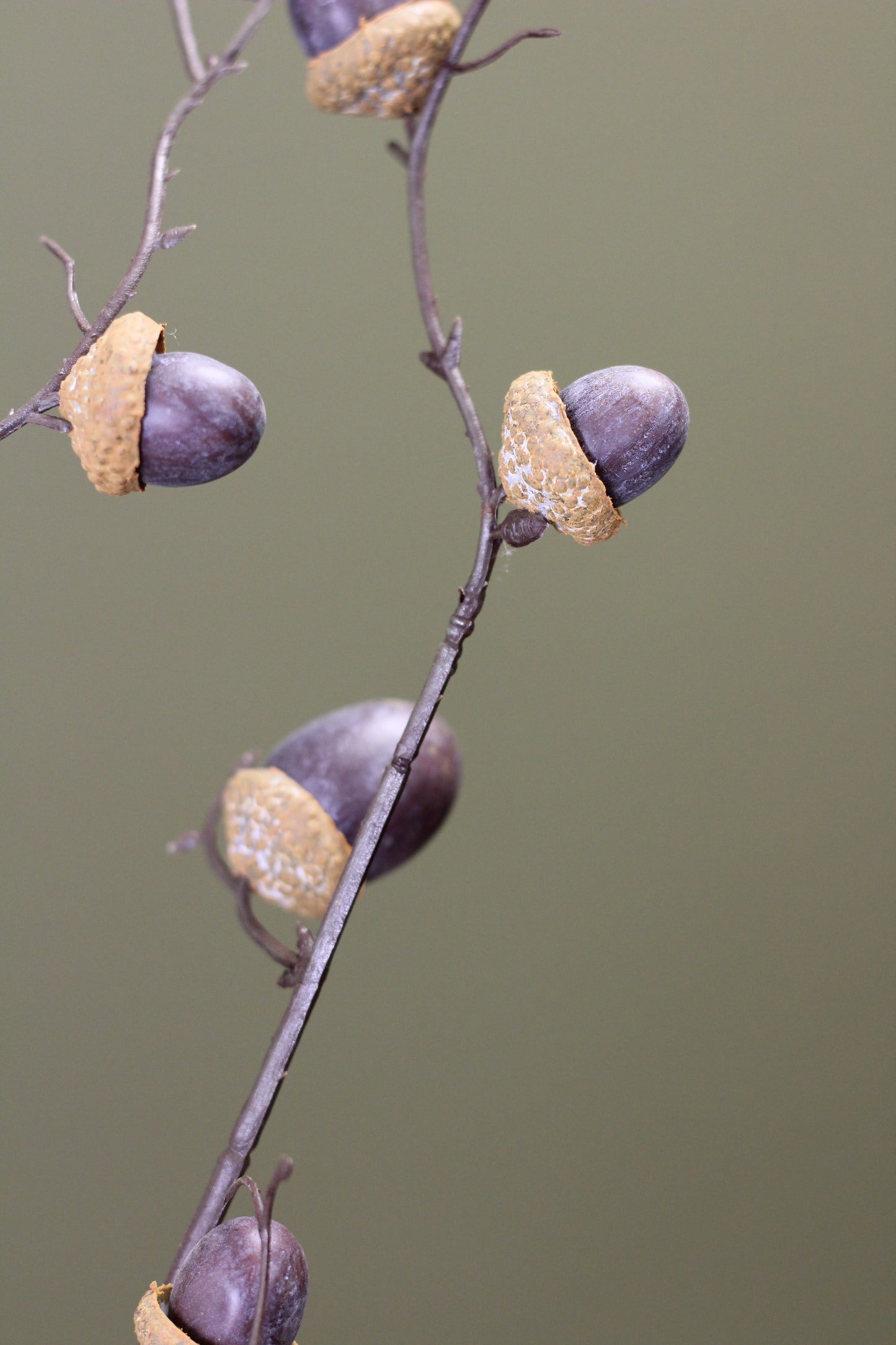 Woodland Acorn Branch – Brown