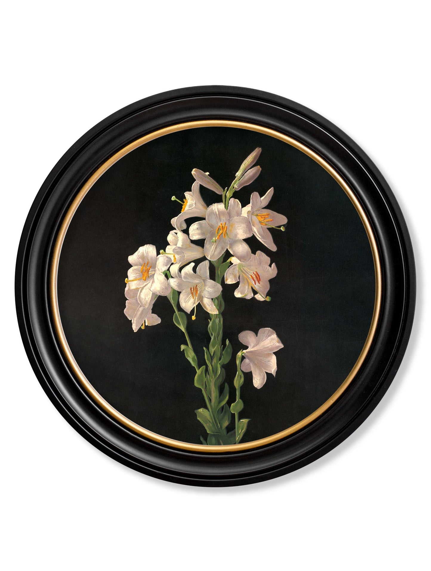 c.1874 George Cochran Lambdin Lillys – Round Frame styled view – Leya Buster Interiors