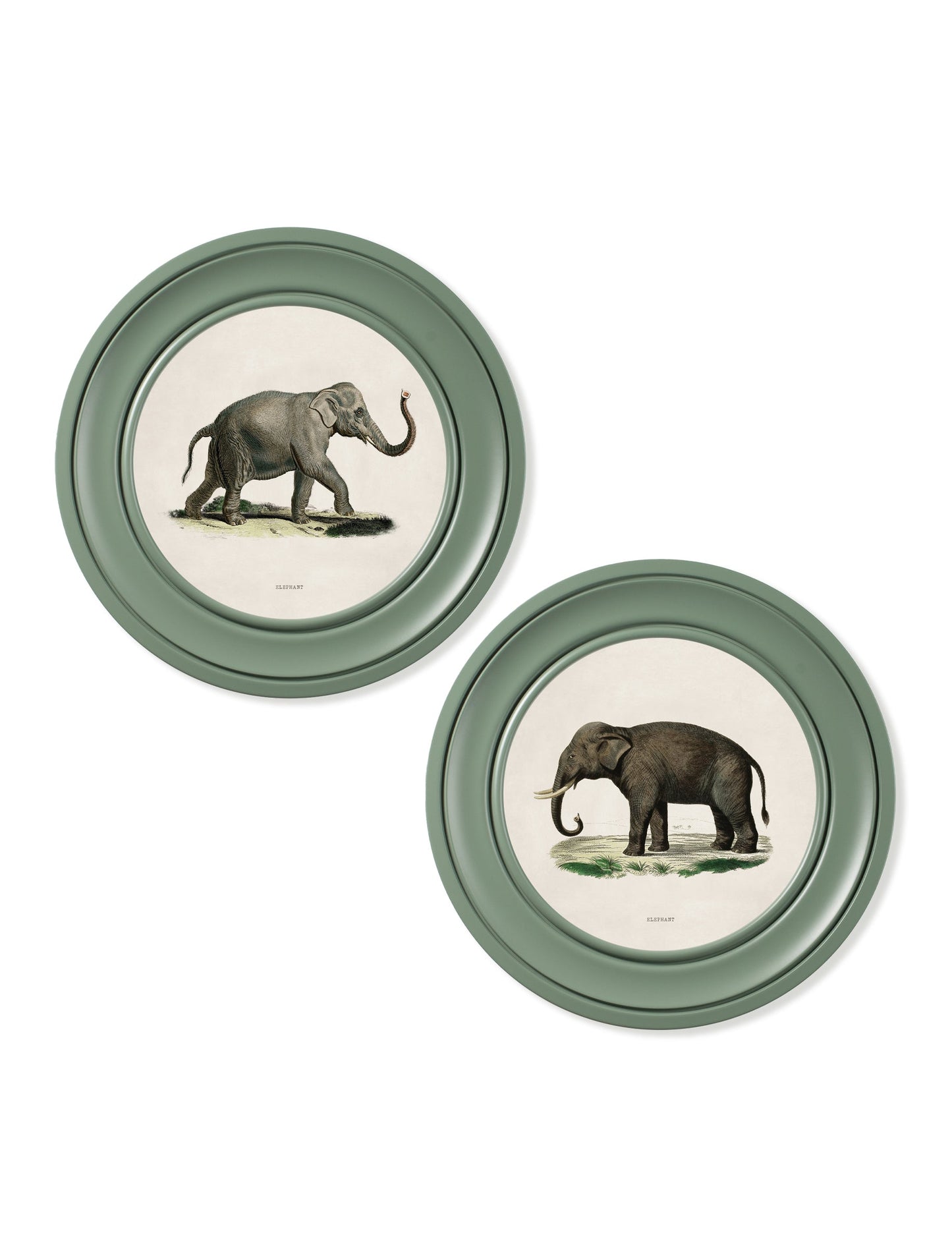 c.1846 Elephants in Round Frame Green – framed wall art at Leya Buster Interiors