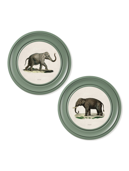 c.1846 Elephants in Round Frame Green – framed wall art at Leya Buster Interiors