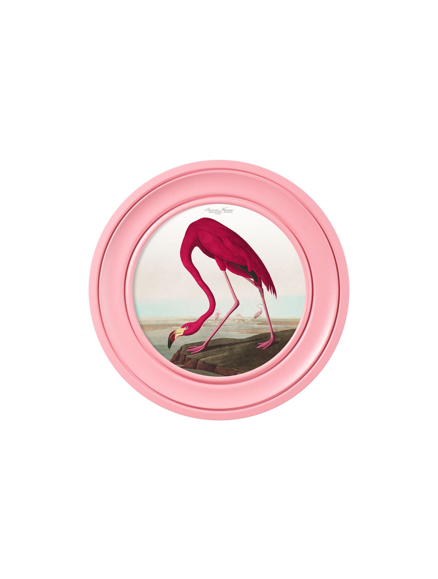 c.1838 Audubon's Flamingo in Pink Frame styled view – Leya Buster Interiors