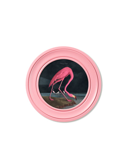 c.1838 Audubon's Flamingo – Dark – Round Frame Pink – framed wall art at Leya Buster Interiors