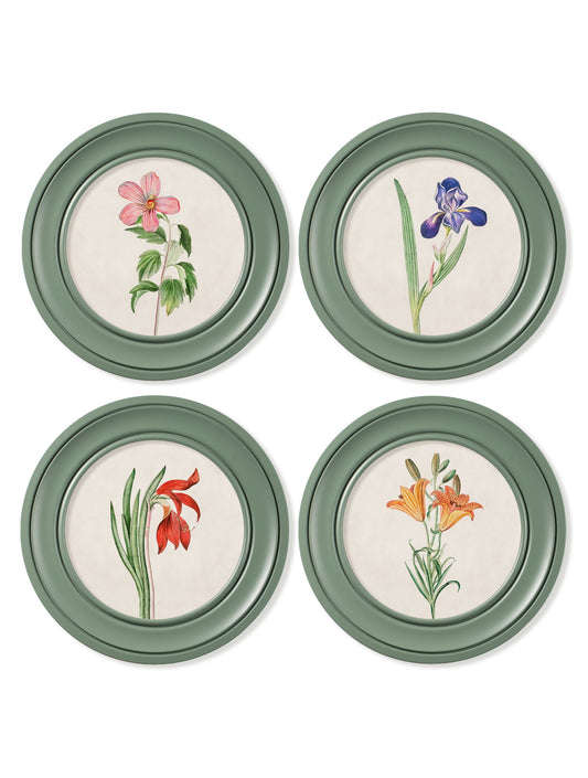 c.1780 Flowering Plants Round Frame Green – framed wall art at Leya Buster Interiors