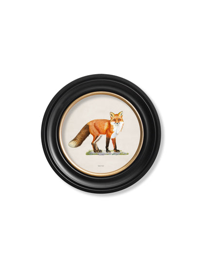 Red Fox – Round Frame styled view – Leya Buster Interiors