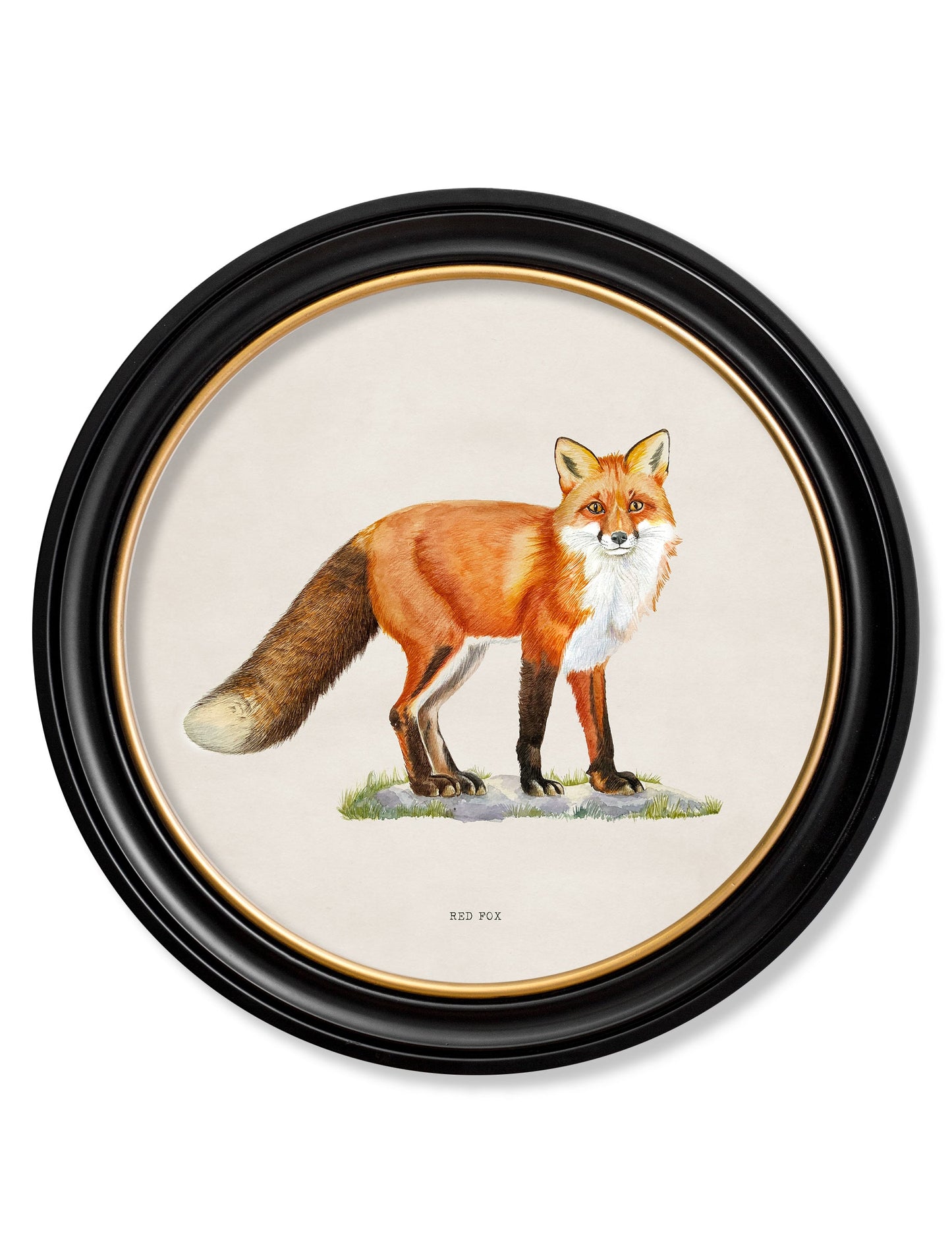 Red Fox – Round Frame detail – Leya Buster Interiors
