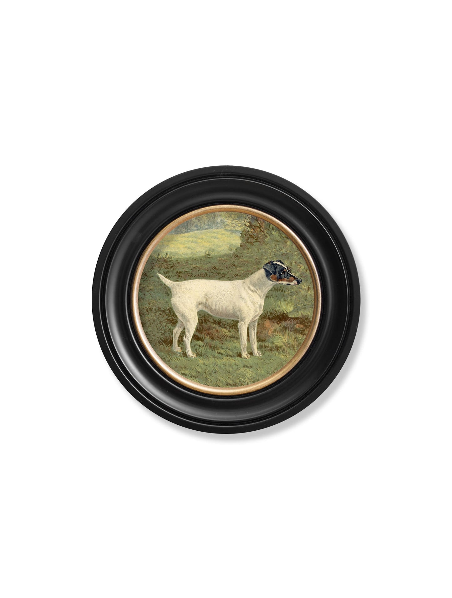 c.1881 Terriers – Round Frame styled view – Leya Buster Interiors